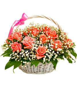 basket of pink roses with babys breath